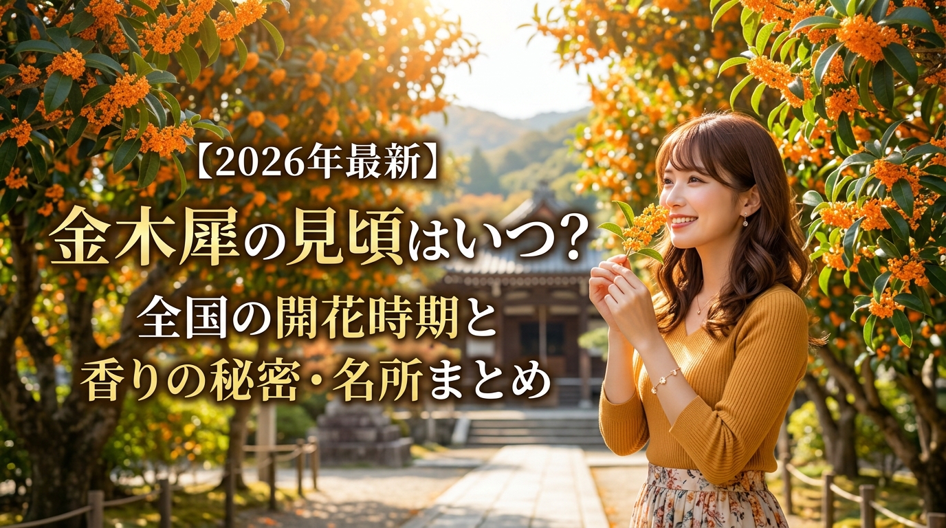 【2026年最新】金木犀（キンモクセイ）の見頃はいつ？全国の開花時期と香りの秘密・名所まとめ